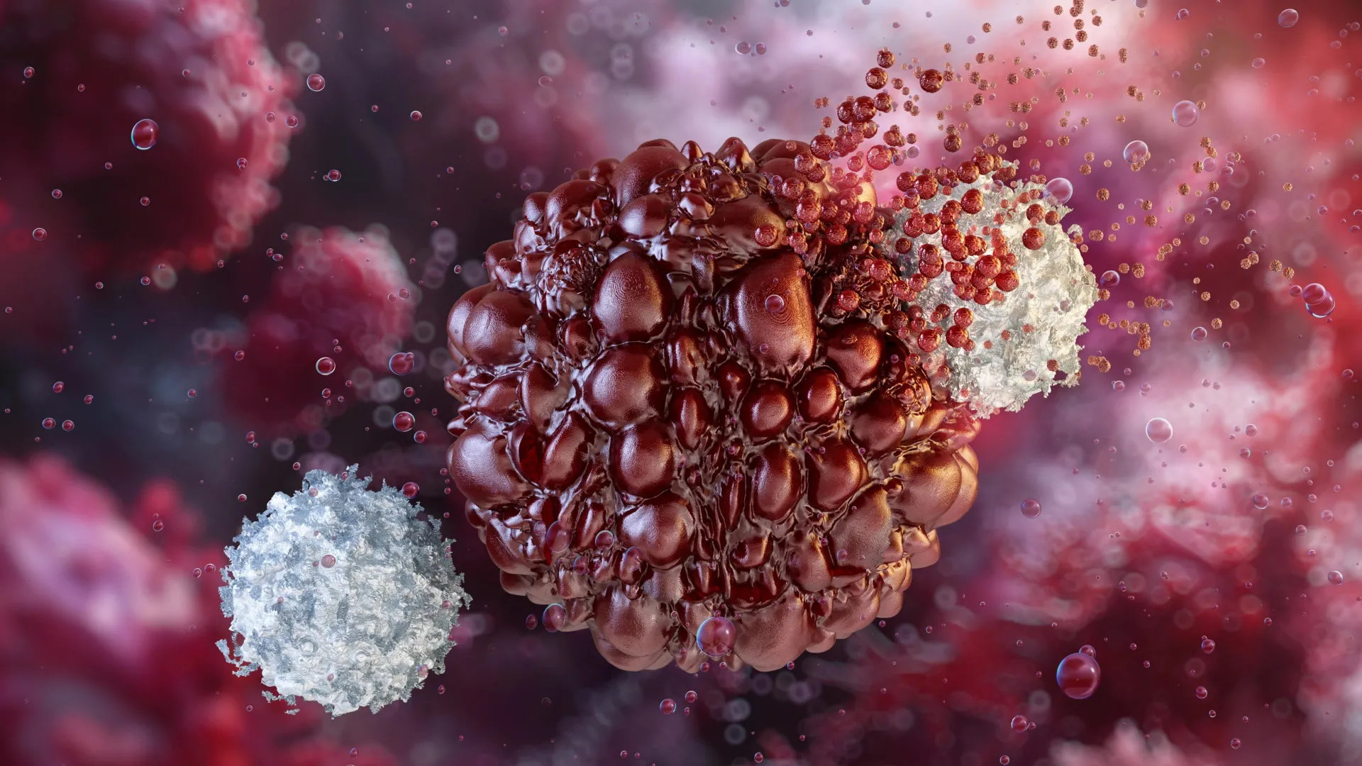 Breakthrough in Cellular Engineering: USC Scientists Unlock Renewable Source for Advanced Immunotherapy