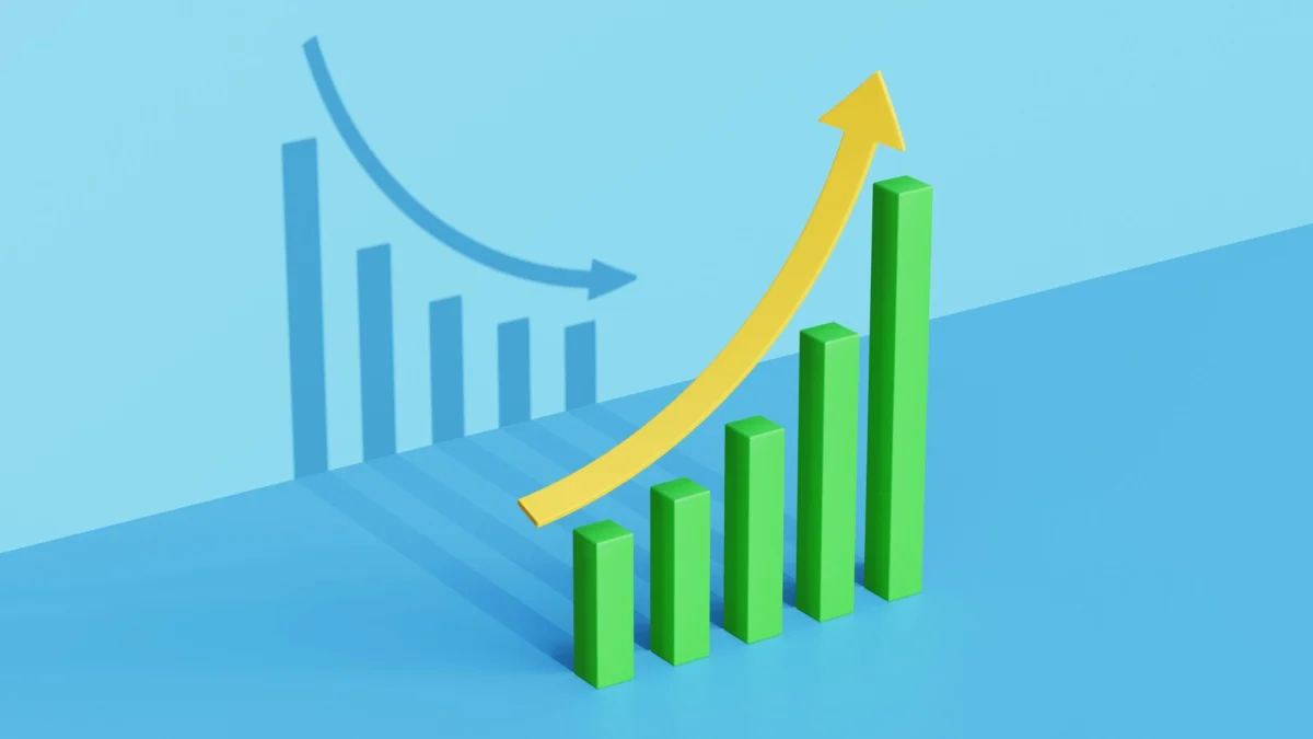 Brown Capital Management International Small Company Fund: A Stress Test in Volatility