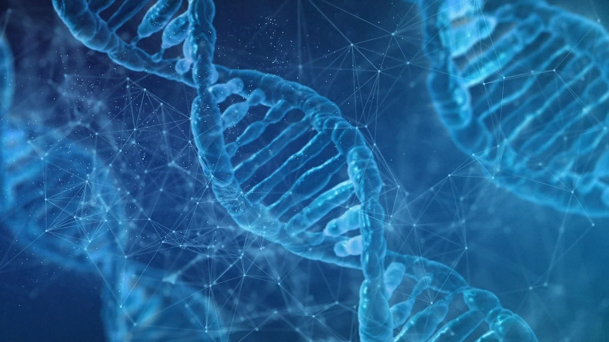 Justice Compromised: The Collapse of Forensic Integrity in the Missy Woods DNA Scandal