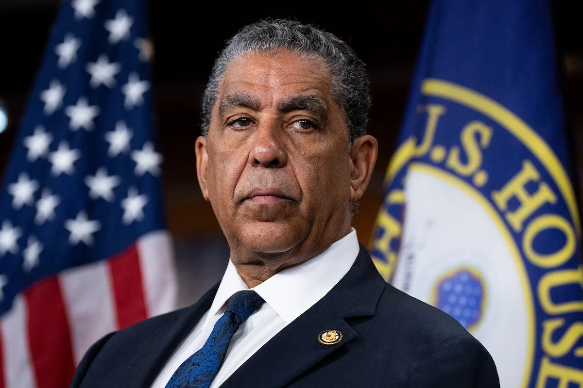New York Primaries: A Crucible for Progressive Power and Congressional Control