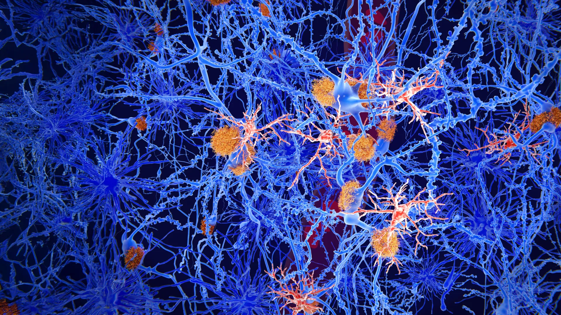 Revitalizing the Brain’s Defenses: The Experimental Molecule OLE Offers New Hope in Alzheimer’s Research