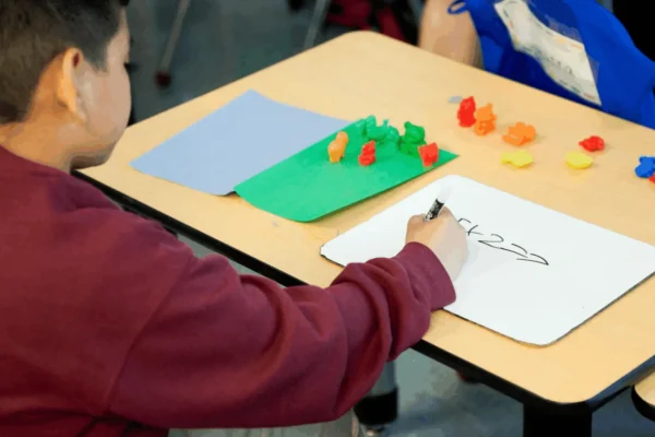 Strong early math skills equal later algebra success
