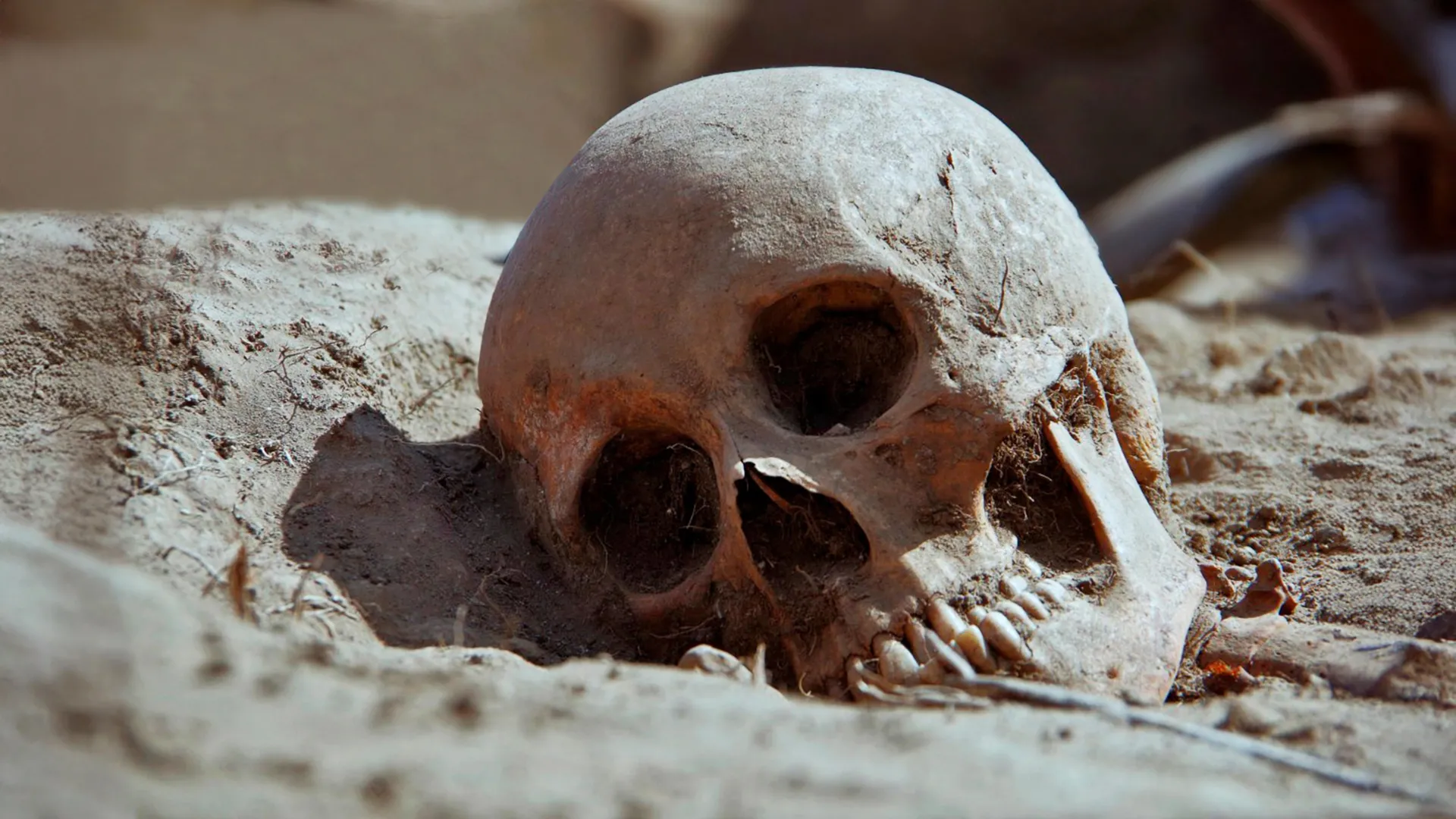 The Ancient Scourge: How New Genetic Evidence Rewrites the History of the Plague