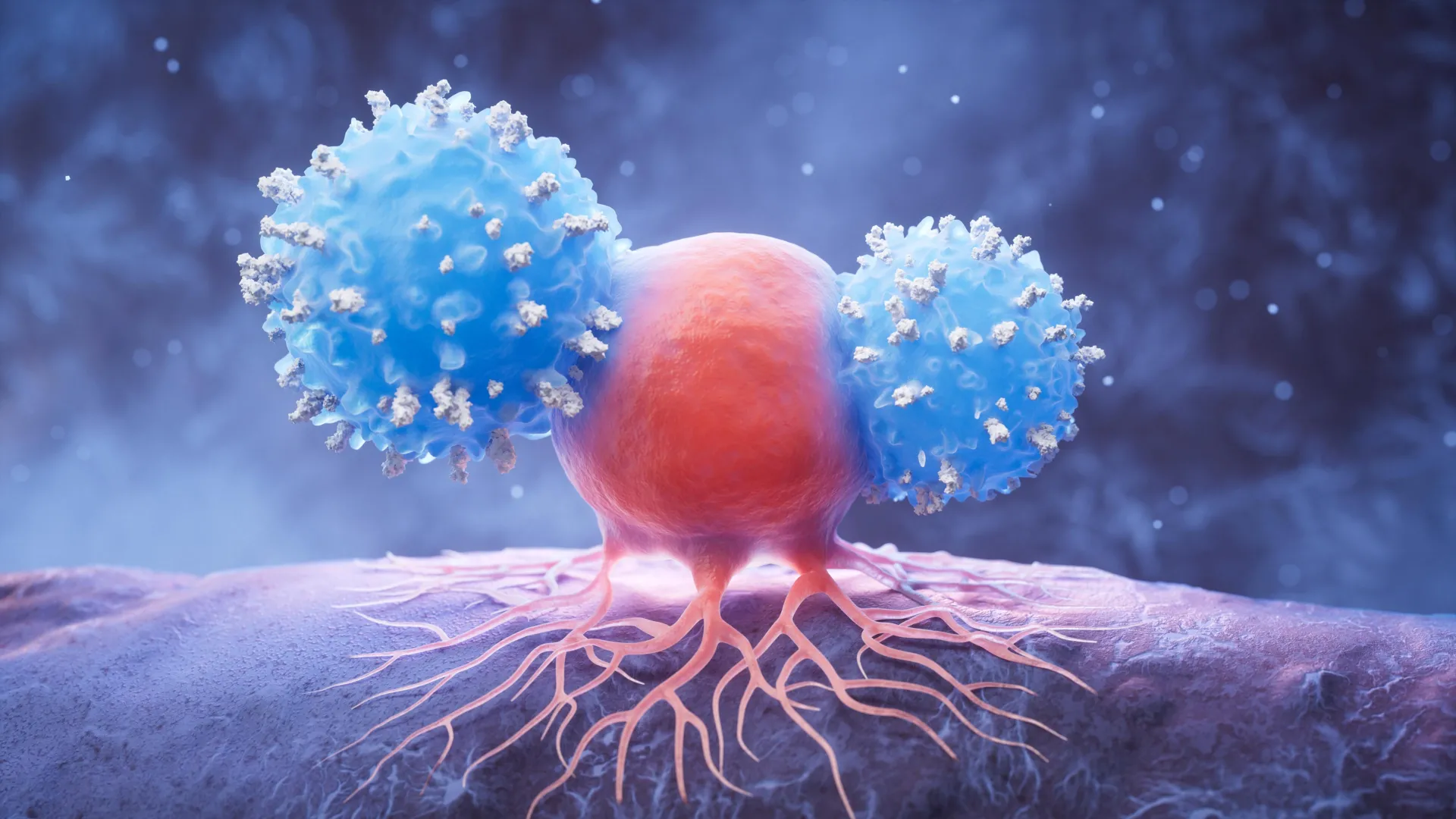 The Battle for the Brain: Could Vitamin B3 Be the Key to Defeating Glioblastoma?