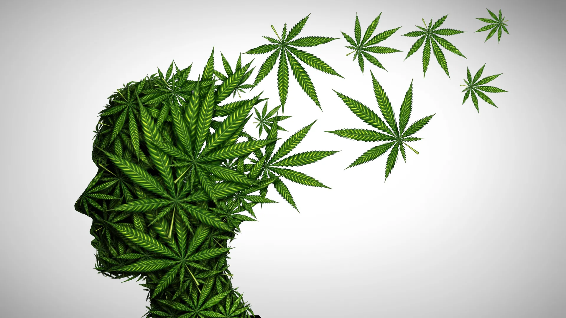The Developing Mind at Risk: New Study Links Adolescent Cannabis Use to Serious Psychiatric Disorders