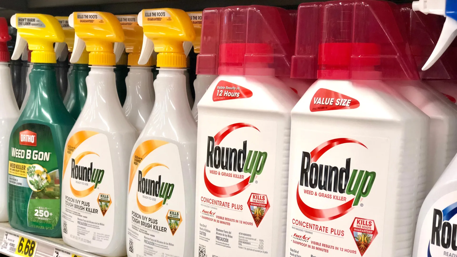 The Hidden Catalyst: How Common Weedkillers May Be Fueling the Global Superbug Crisis