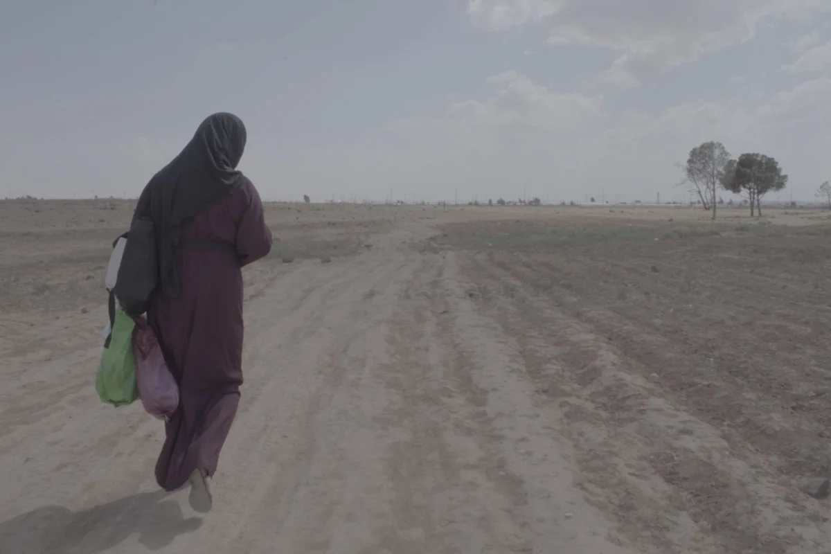 The New Wave: How Jordan’s Cinematic Renaissance is Redefining Regional Storytelling