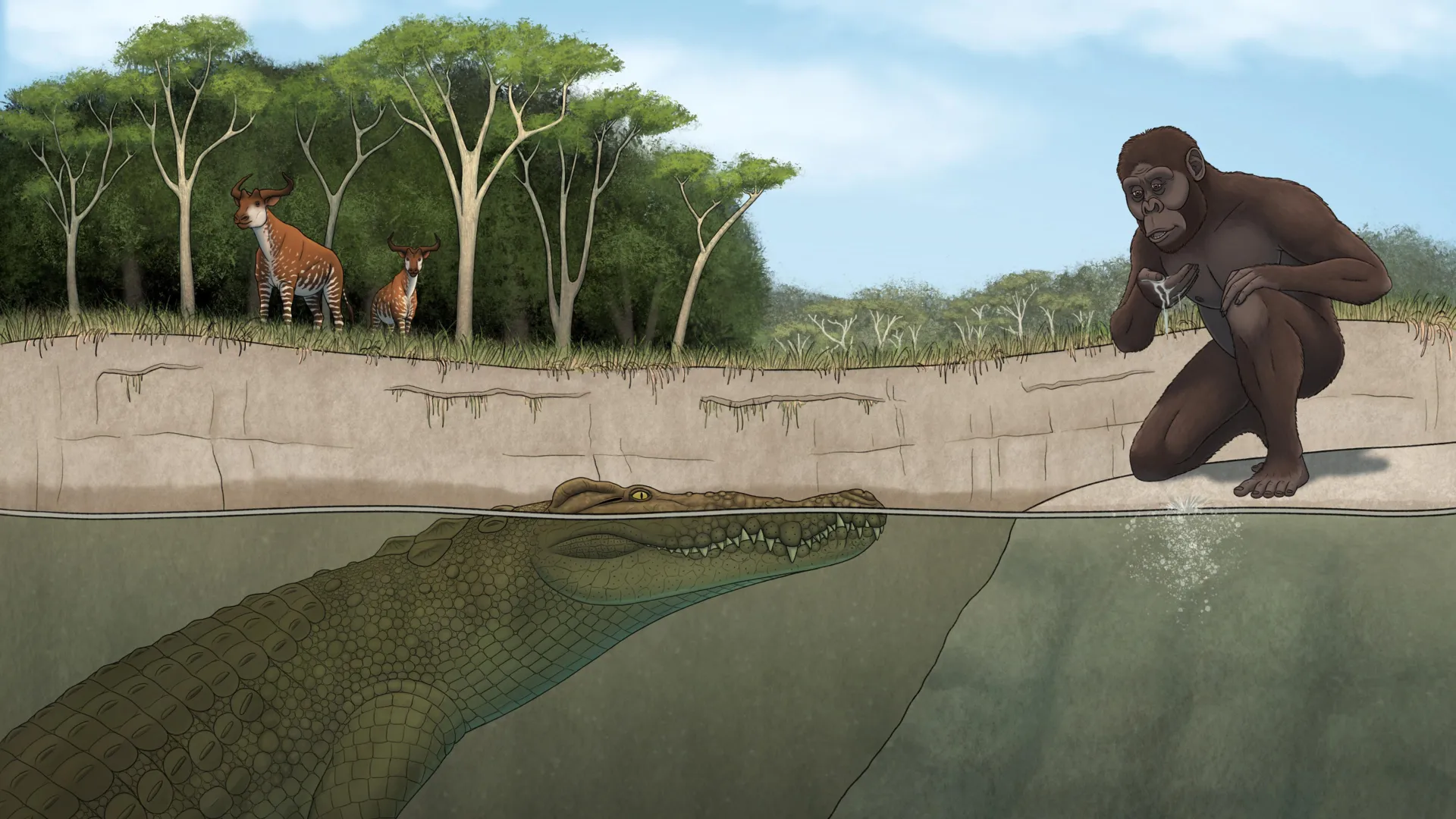 The Shadow in the Water: New Apex Predator Discovered in Lucy’s Ancient Habitat