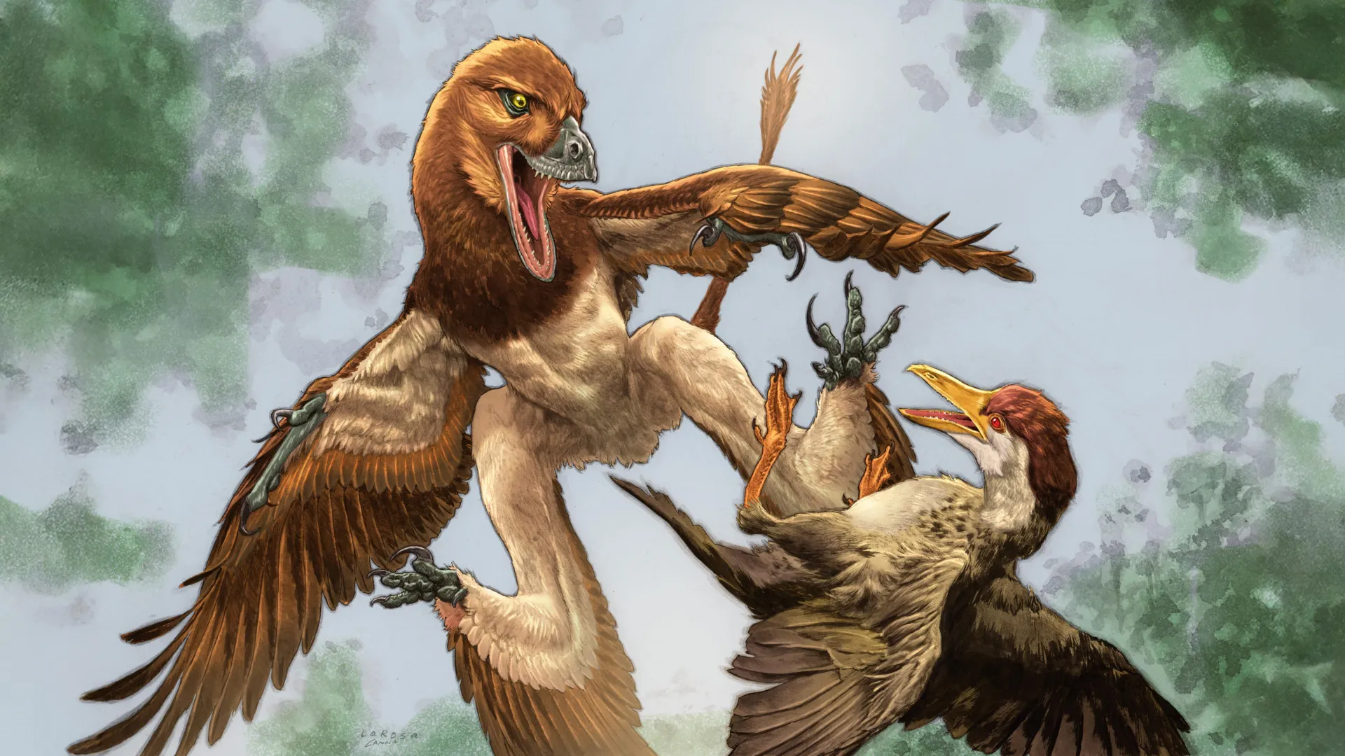 The Shadow Over the Changma Basin: How a Four-Winged Predator Solved a Paleontological Mystery