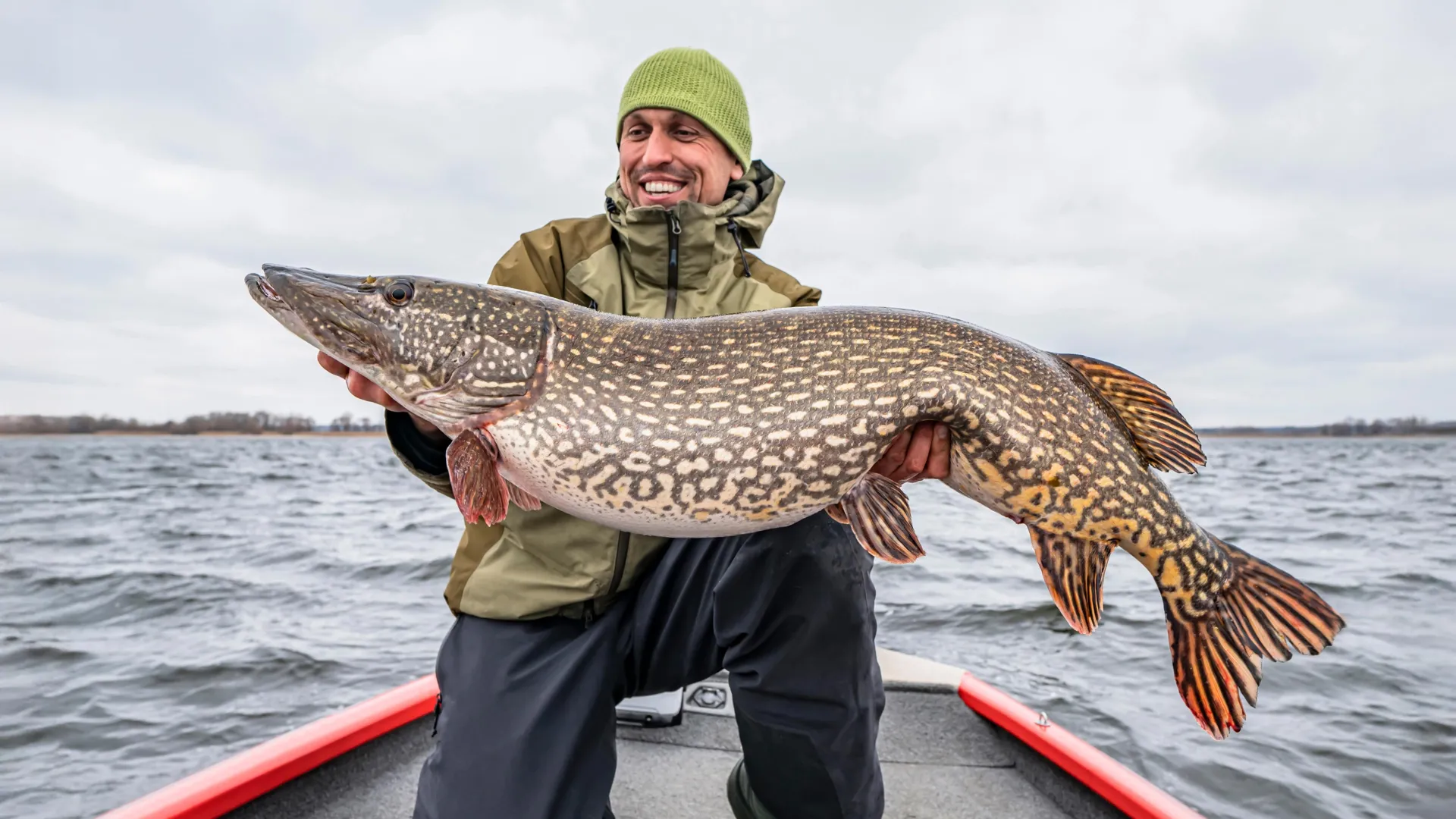 The Tea-Stained Transformation: How "Freshwater Browning" is Rewriting the Rules of Our Lakes