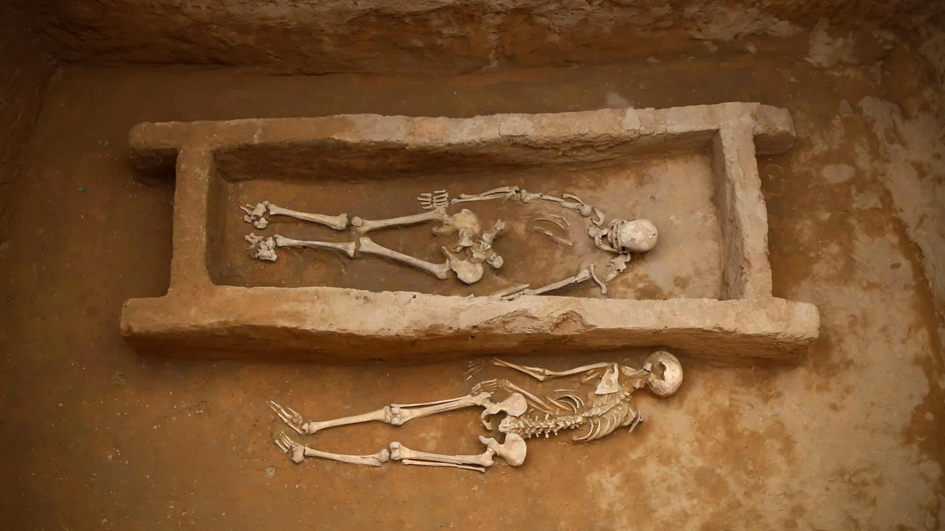 Echoes of the Stone City: Ancient DNA Rewrites the Social Fabric of Shimao