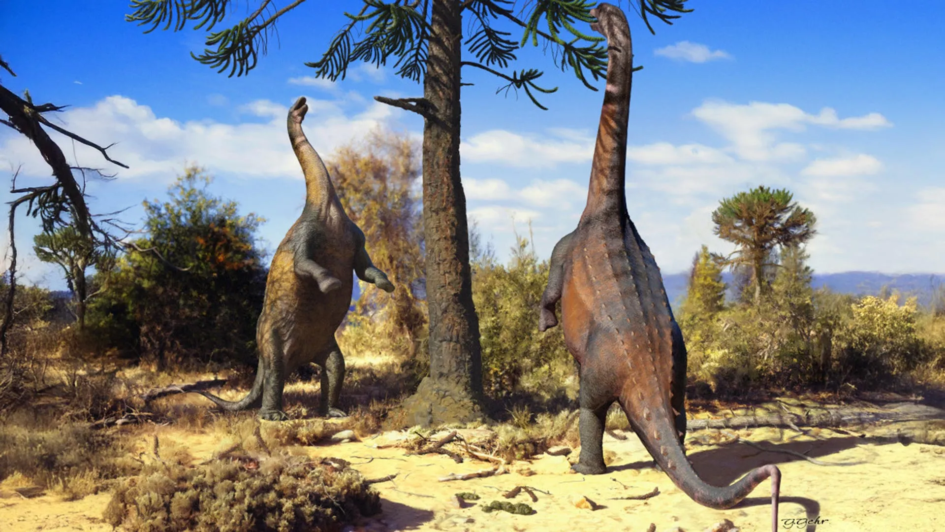 Giants on Two Legs: New Engineering Analysis Reveals Surprising Agility in South American Sauropods