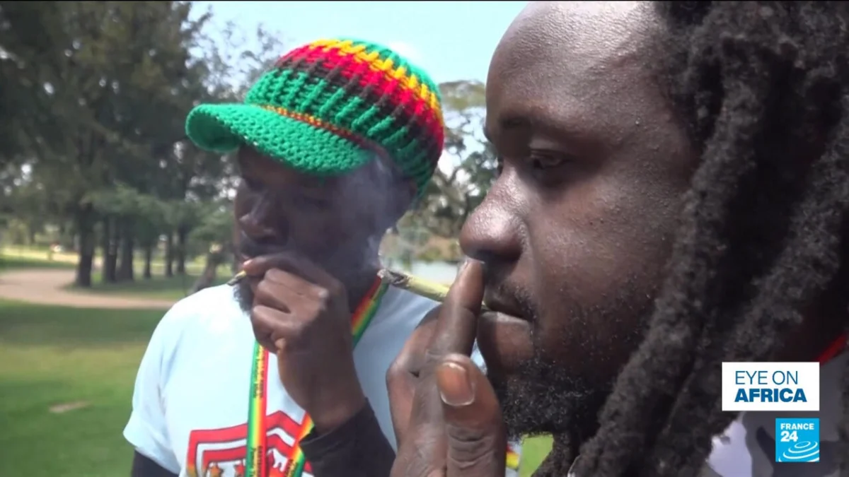 Kenya’s High Court Rejects Rastafarian Bid to Decriminalize Cannabis: A Deep Dive into the Ruling