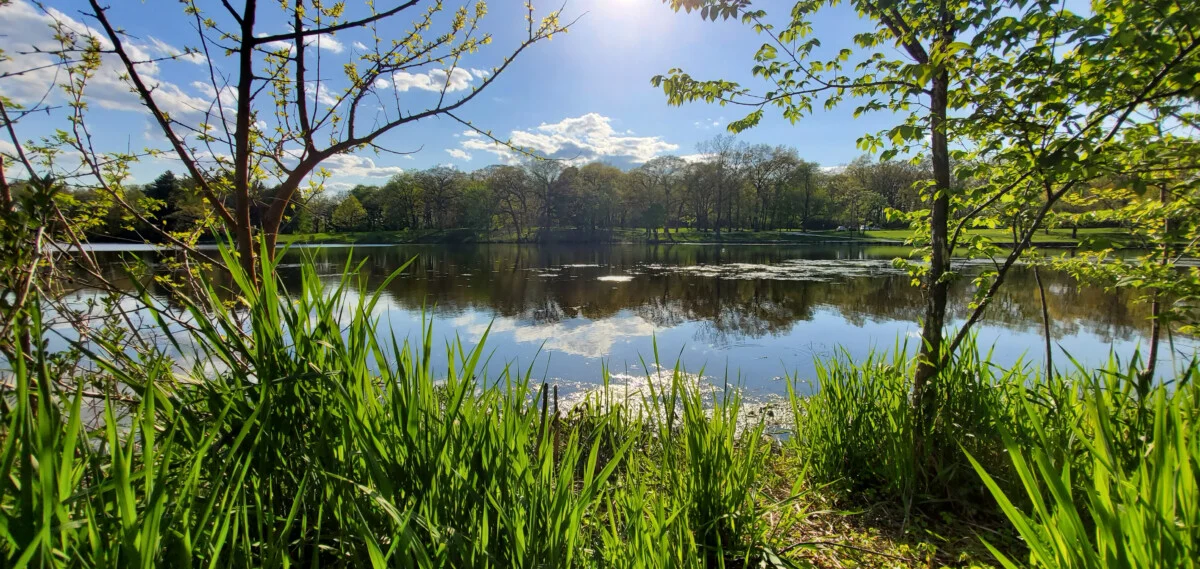 Lake County Housing Market Update: A Mid-Year Surge Driven by Intense Buyer Demand
