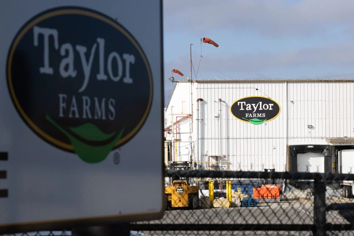 National Health Crisis Escalates: Taylor Farms Expands Lettuce Recall Amid Multi-State Cyclospora Outbreak