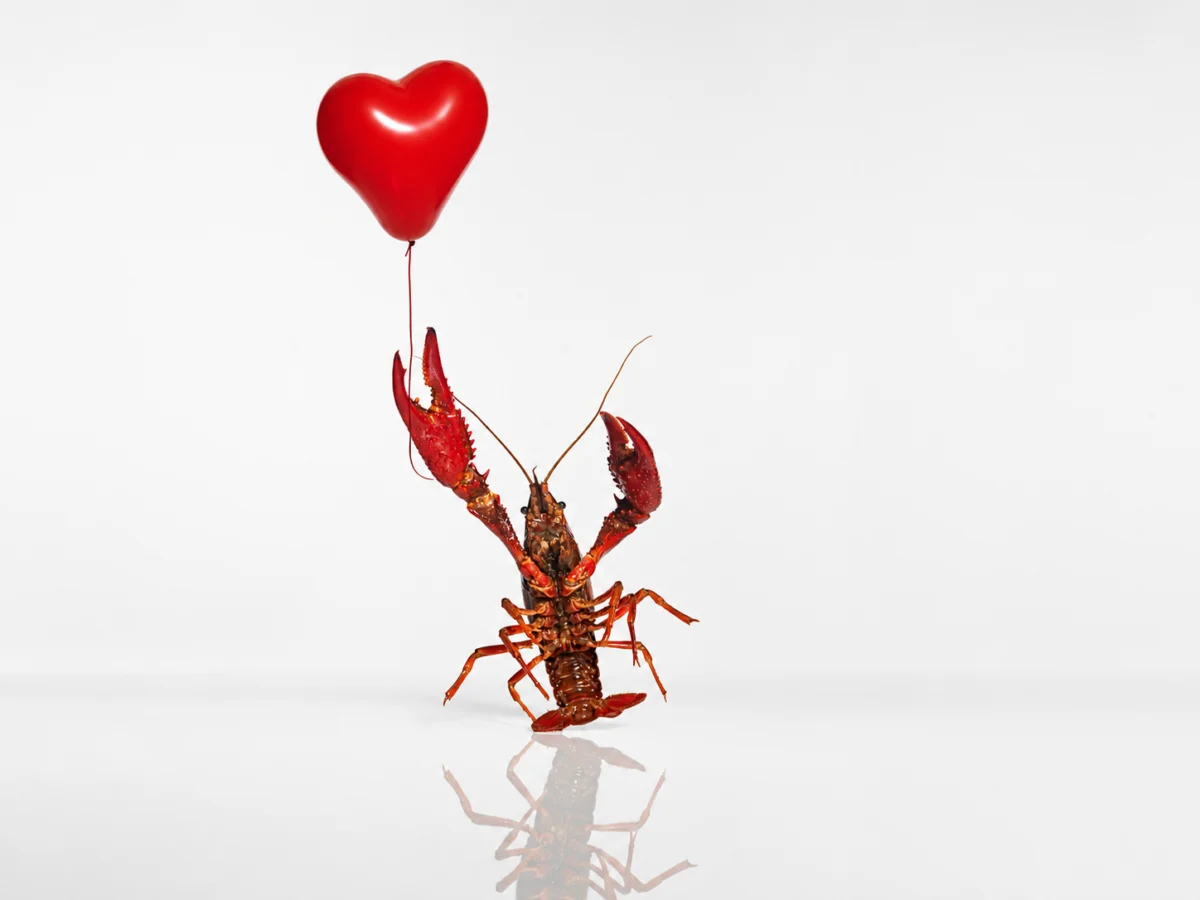 The AI Dating Revolution: How "Claw" Agents Are Automating Romance and Why It’s Dividing the Tech World