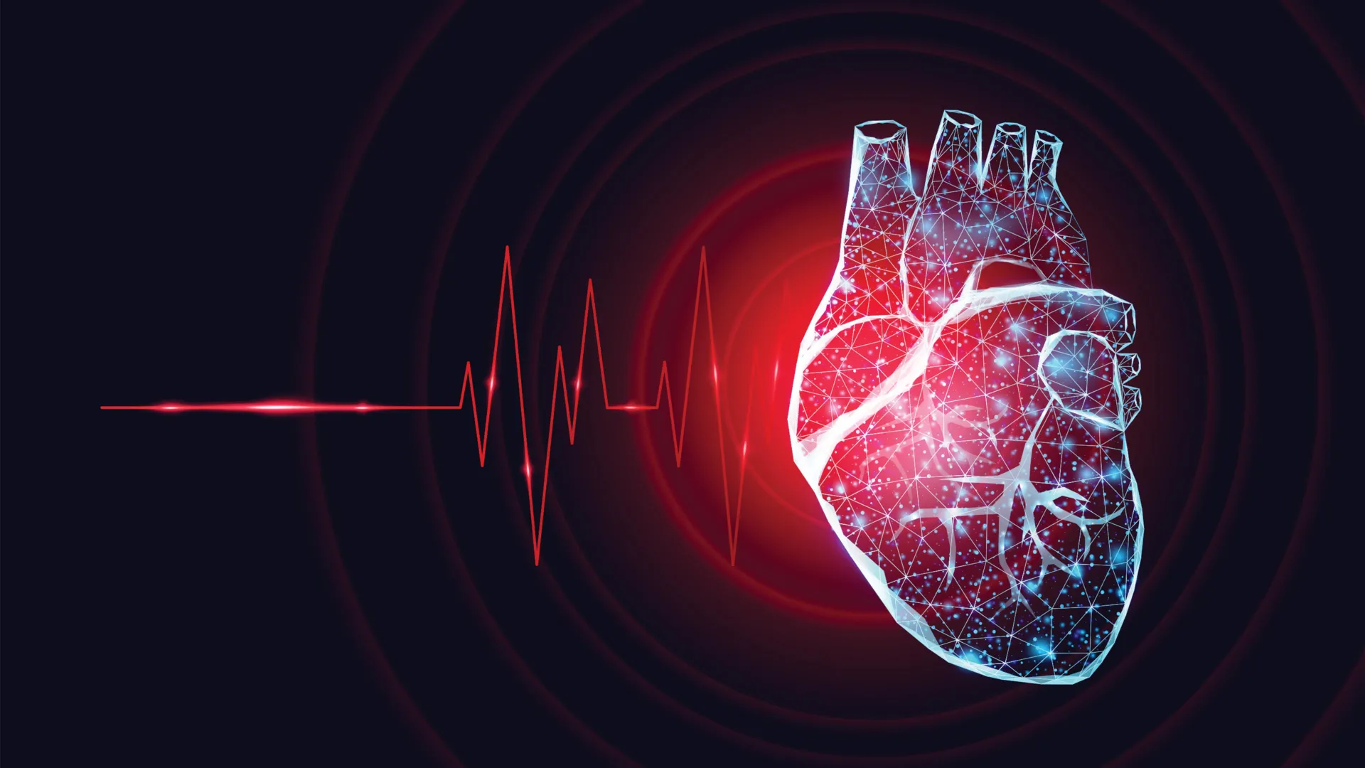 The Asymmetric Heart: How Exercise Rewires the Body’s Autopilot