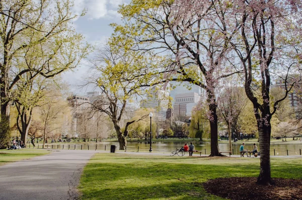 The Beantown Appeal: Why Boston Remains a Premier Destination for Urban Living