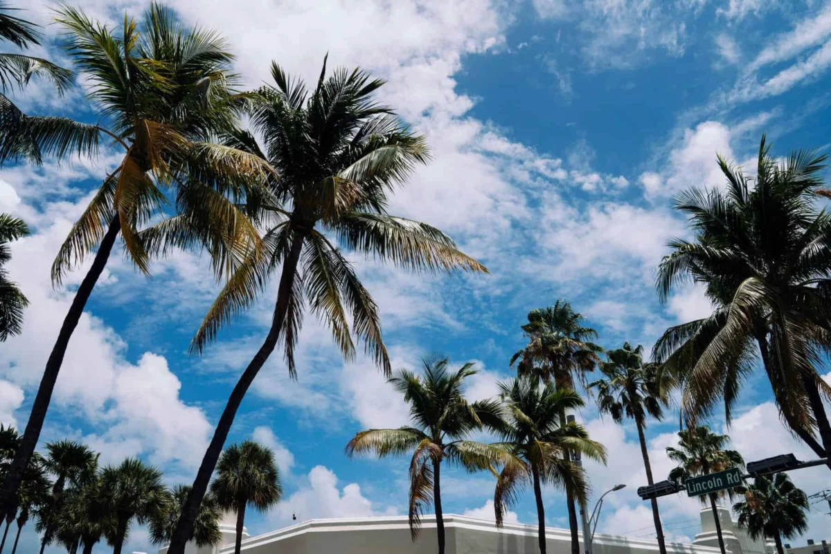 The Billionaire Bunker: Unveiling the Financial Reality of Life on Indian Creek Island