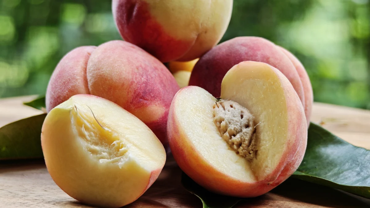 The Golden Secret of the Midwest: How Calhoun County Became a Peach Powerhouse