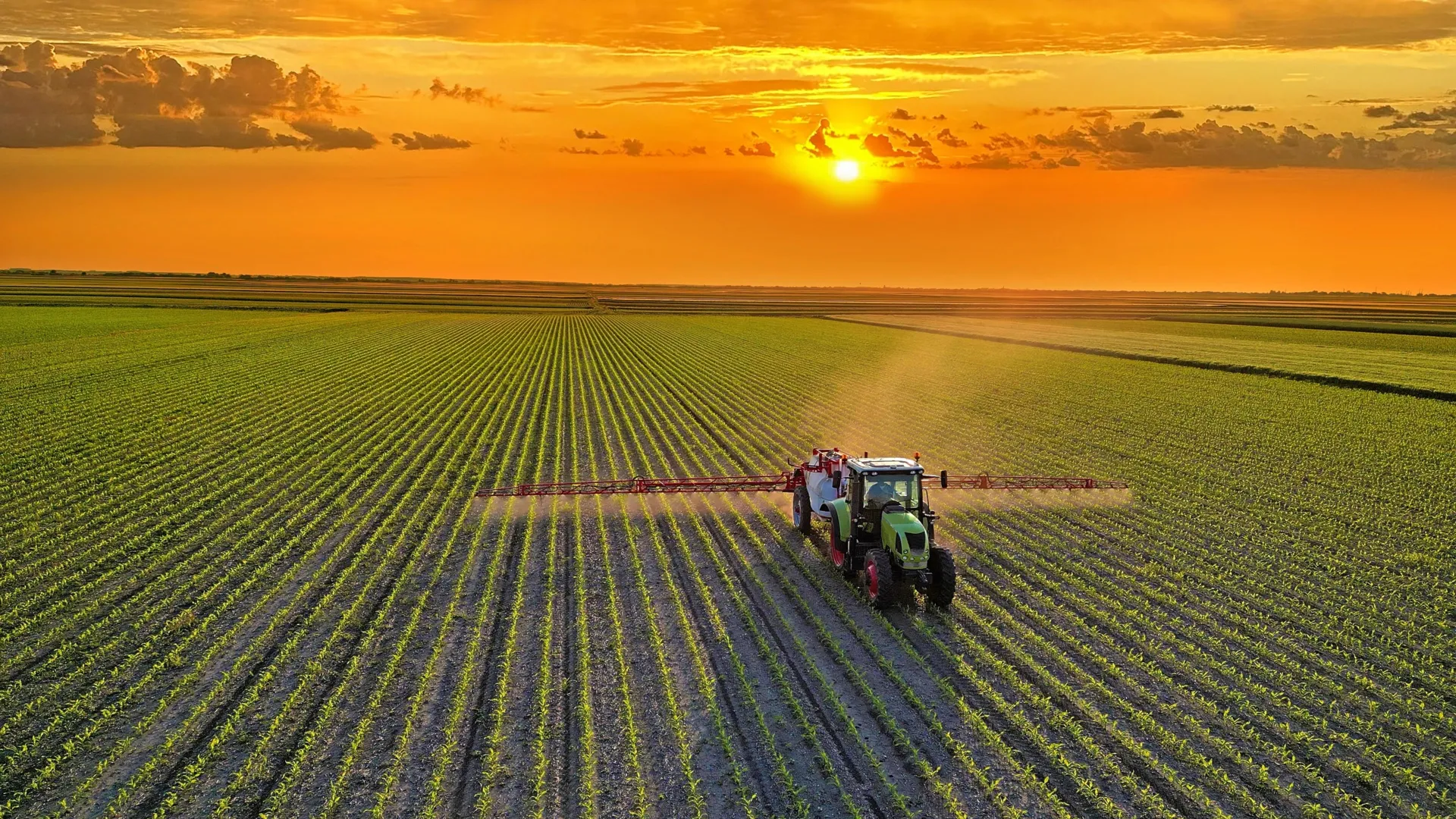 The Great Agricultural Pivot: How a Global Shift in Diet Could Reshape the Planet by 2050