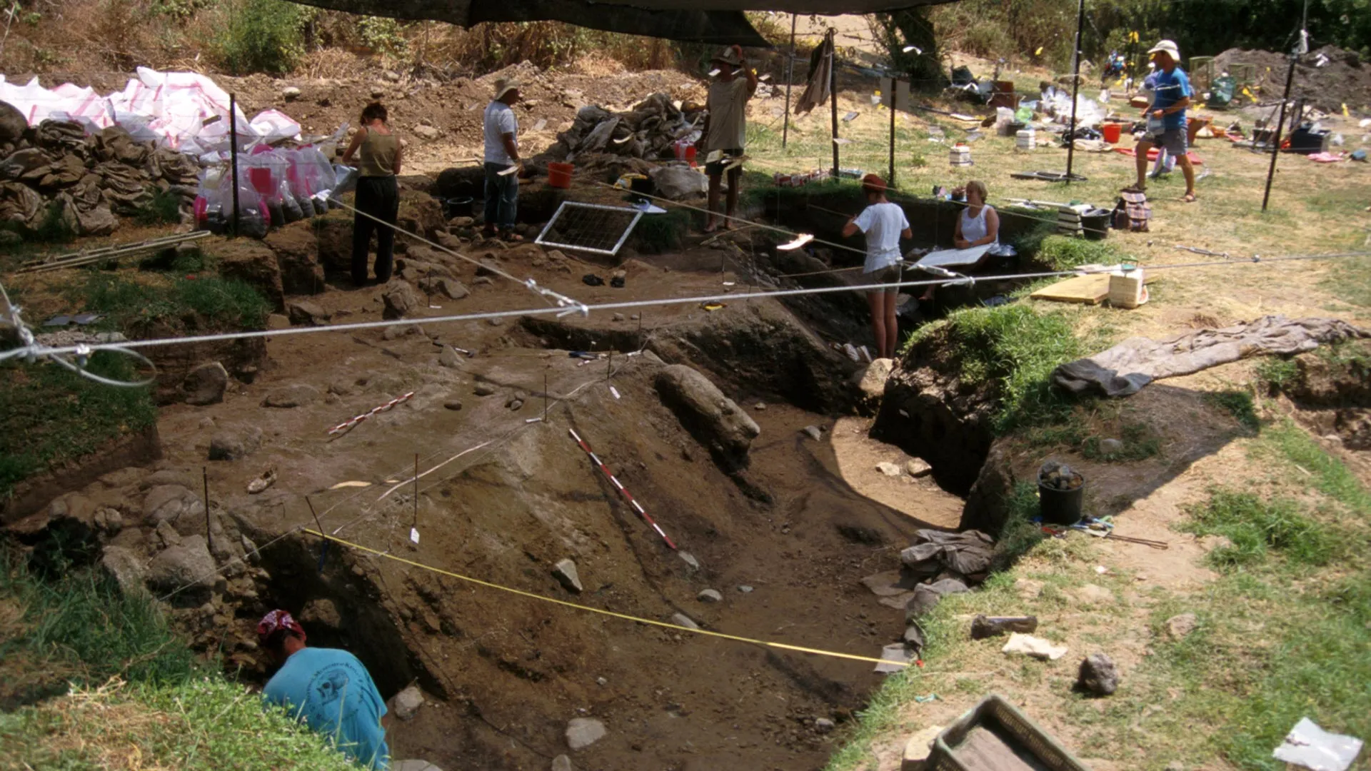 The Hearth of Civilization: How Driftwood Fueled the Success of Early Hominins 800,000 Years Ago
