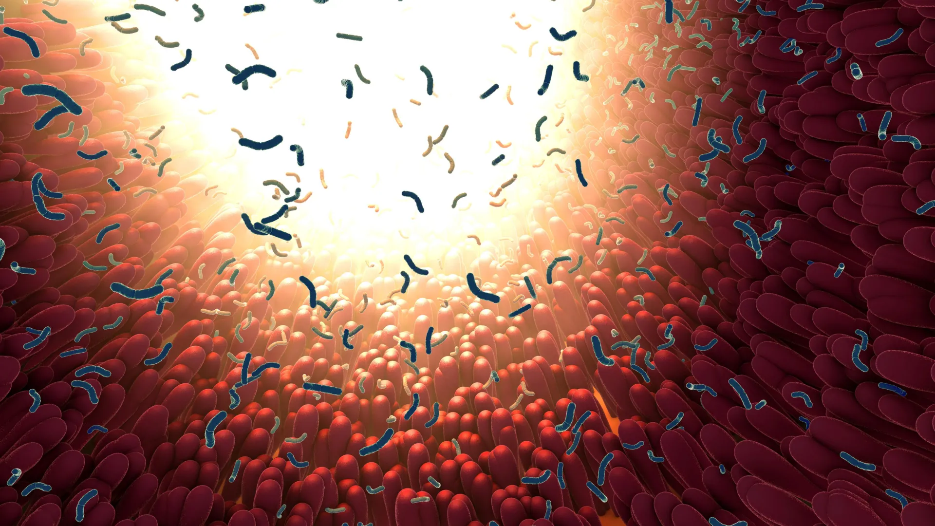 The Hidden Chemistry of Your Diet: How Sweeteners and Common Medications May Reshape Your Gut Microbiome