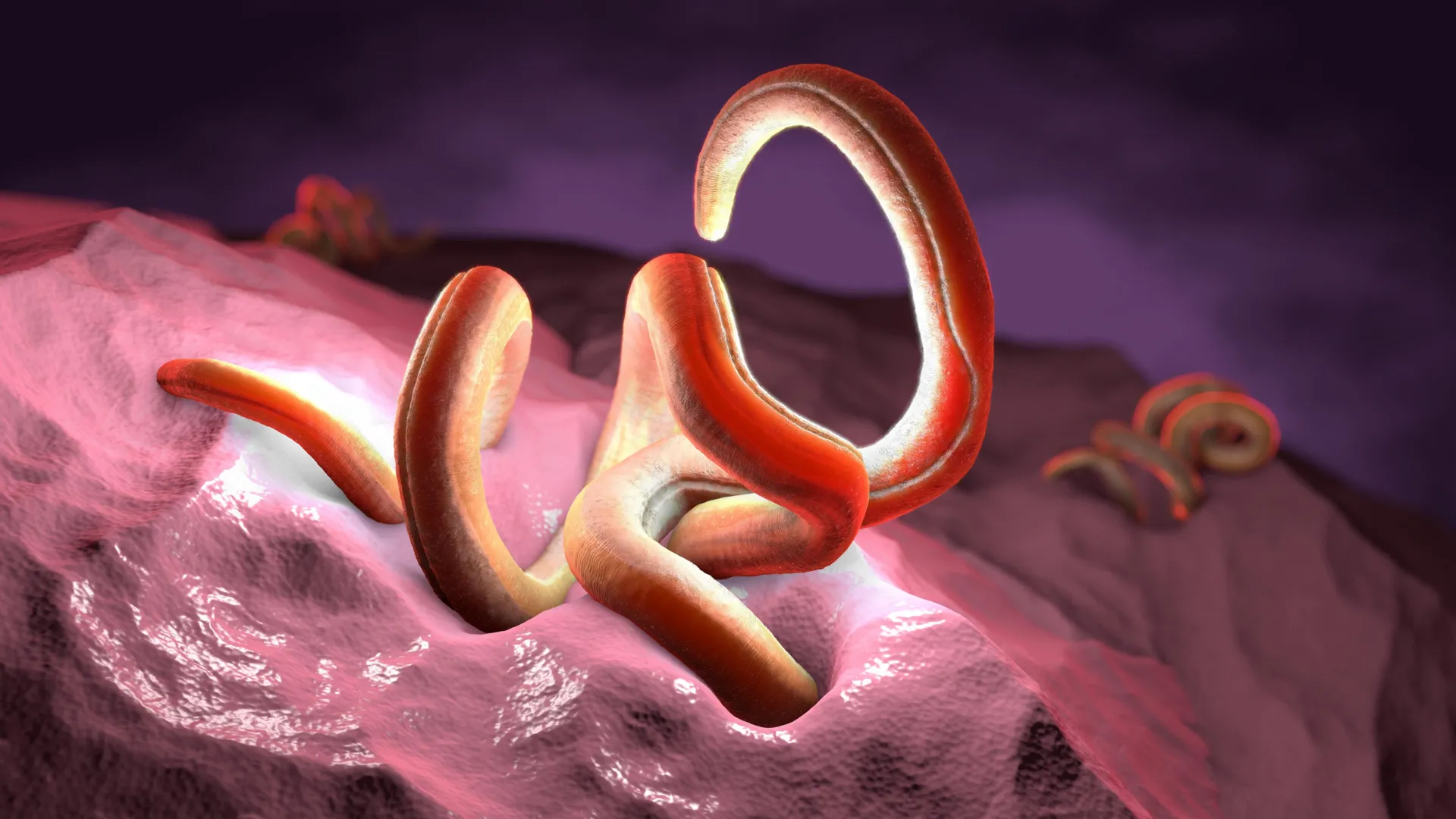 The Hidden Symbiosis: Why Your Gut Parasites Need Fiber to Keep You Healthy