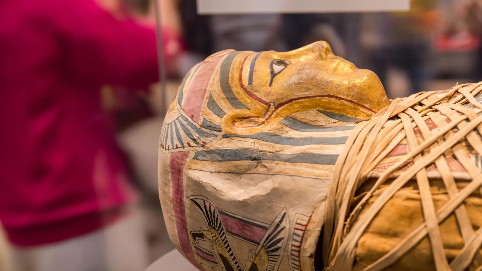 The Homeric Sentinel: Rare Discovery of Iliad Papyrus Within Roman-Era Mummy Challenges Funerary Traditions