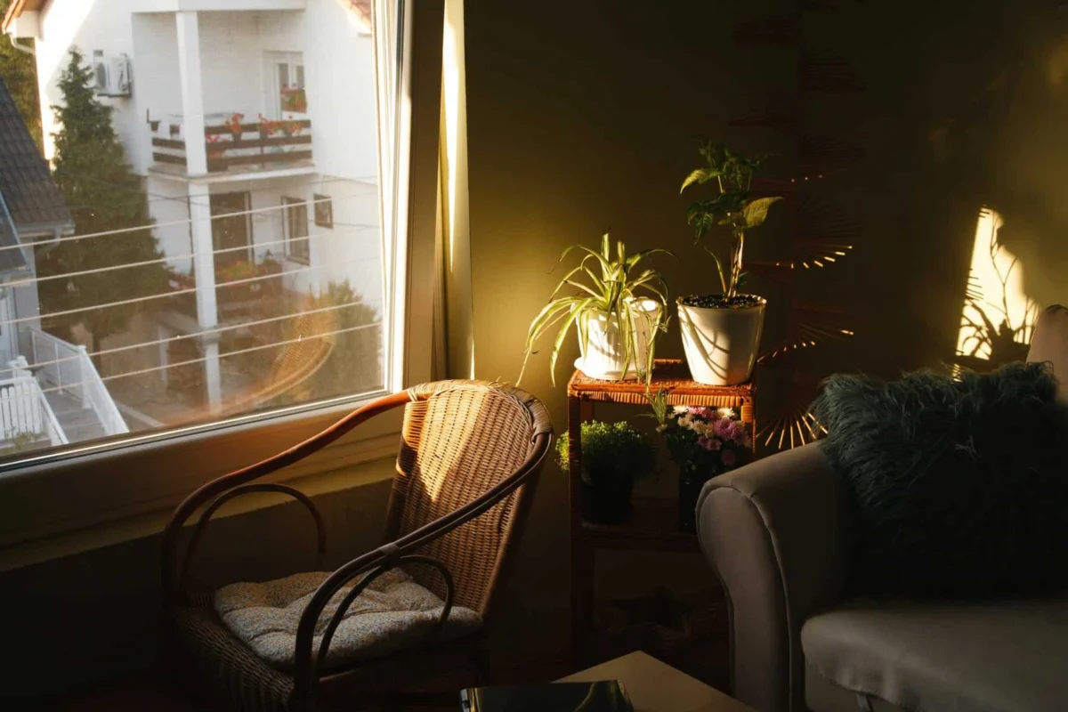 The Illuminating Factor: Why Natural Light is the Ultimate Real Estate Asset