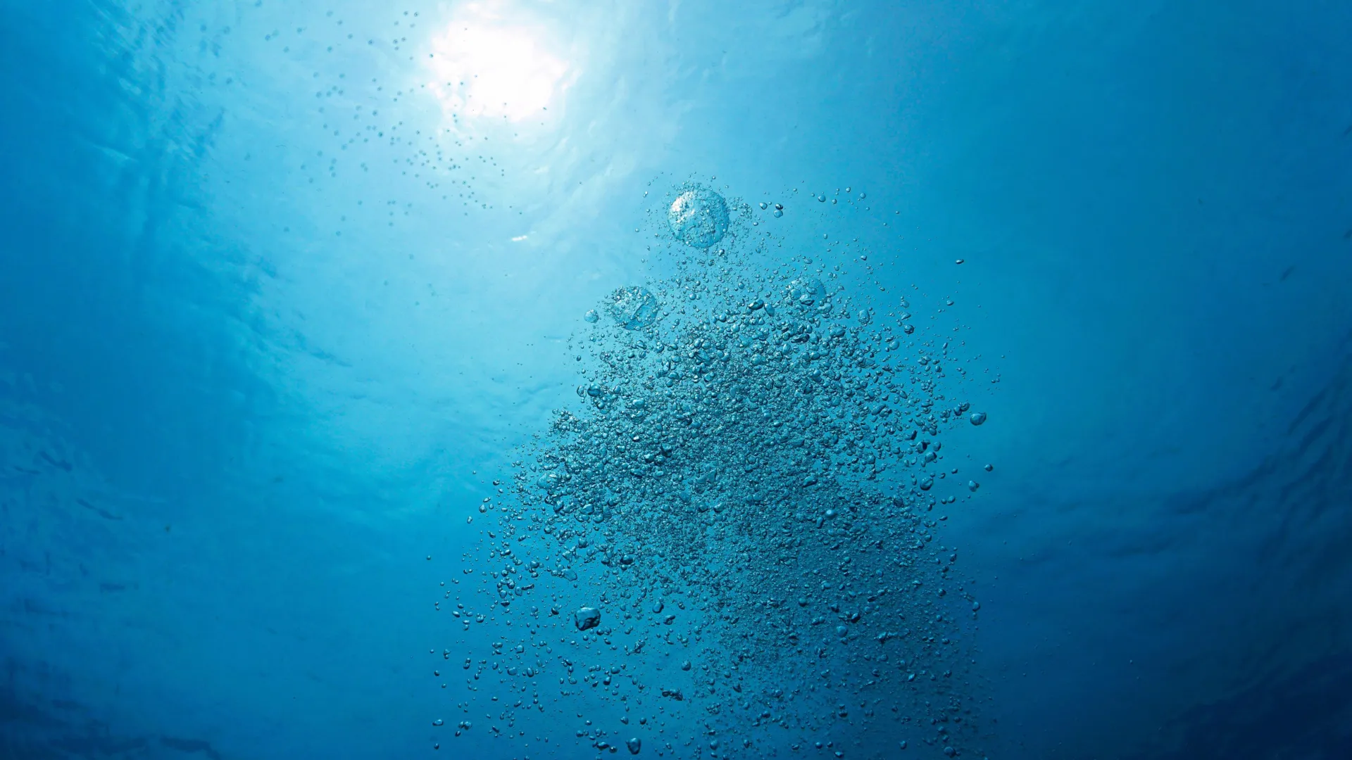 The Invisible Crisis: Why Scientists Are Calling for a New Planetary Boundary to Address Global Aquatic Deoxygenation