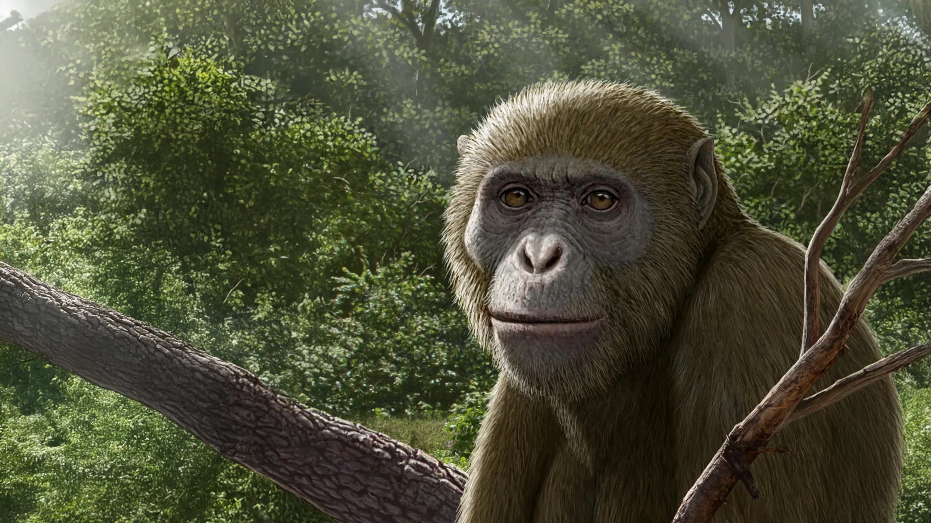 The Lost Ape of the North: How Masripithecus moghraensis is Rewriting the History of Human Origins