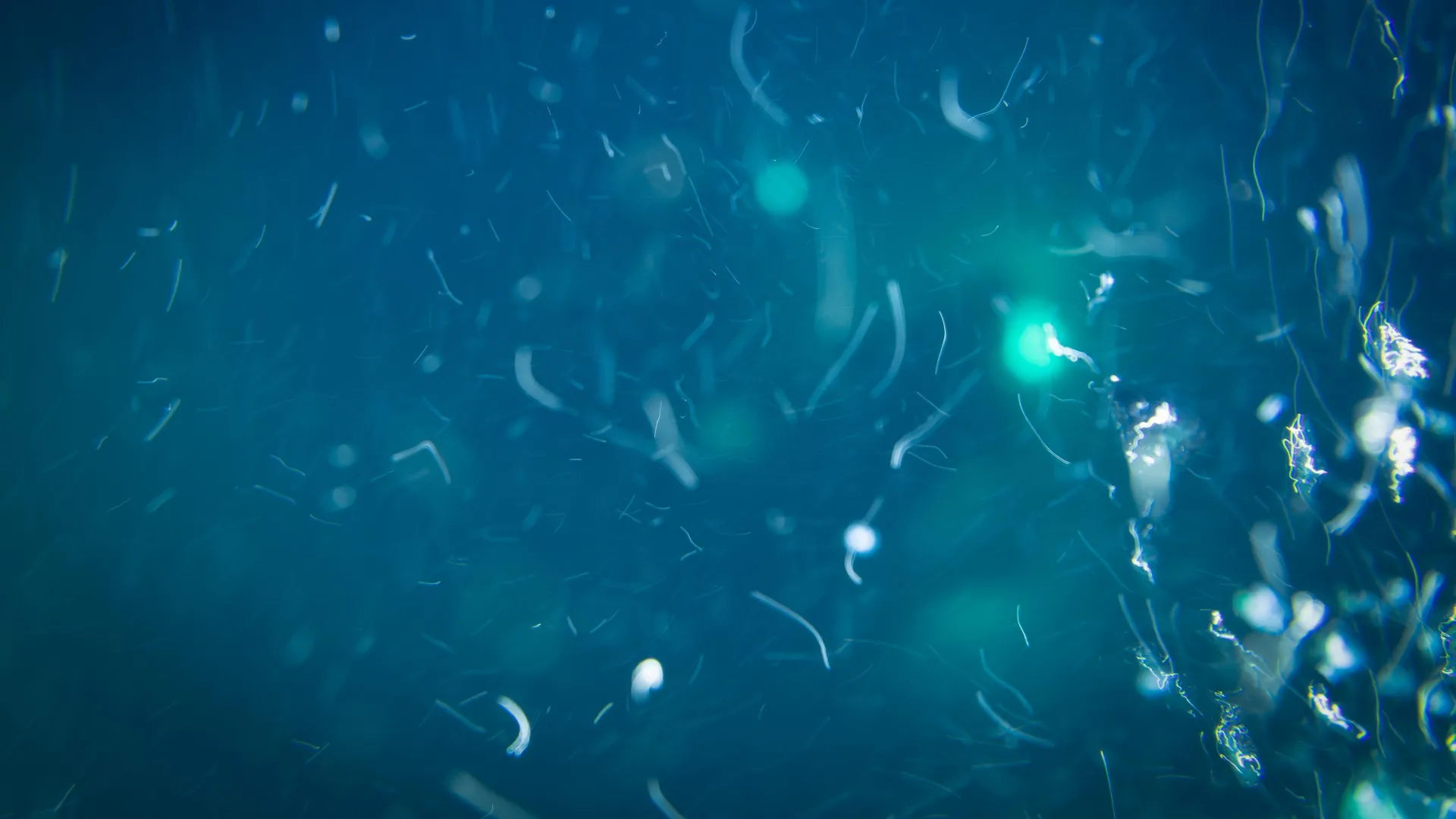 The Ocean’s Hidden Engine: How Deep-Sea Pressure Rewrites the Global Carbon Cycle