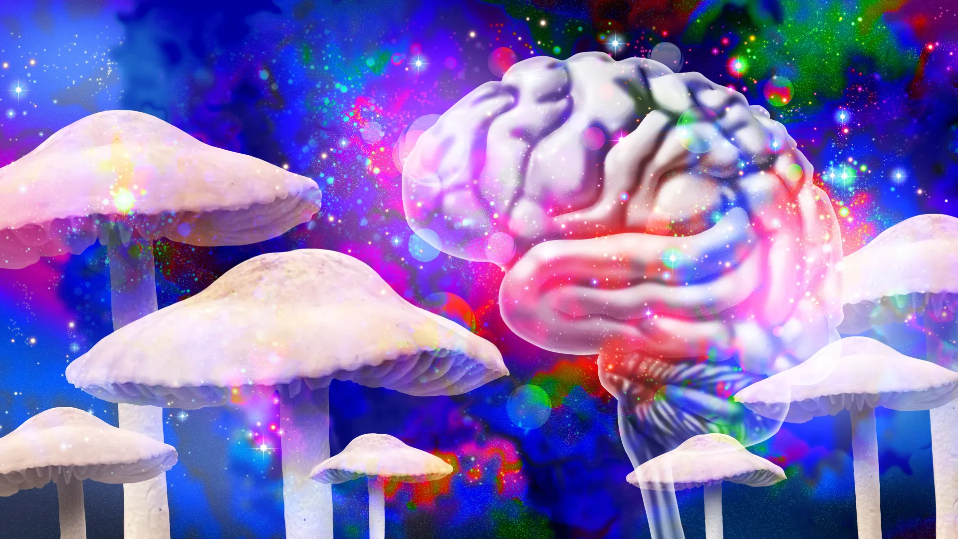 The Psychedelic Frontier: How Psilocybin Rewires the Human Brain for Lasting Change