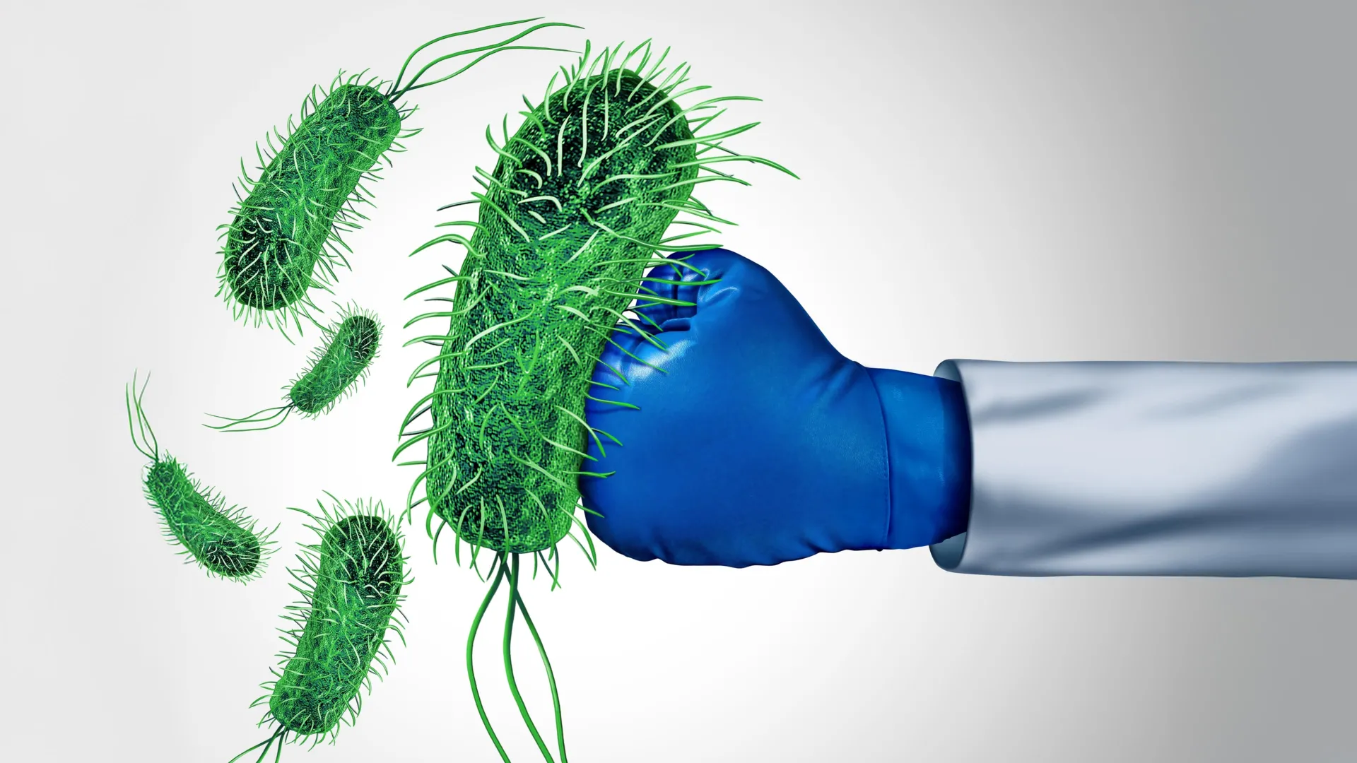 The Renaissance of Resilience: How Molecular Chemistry is Turning the Tide Against Superbugs