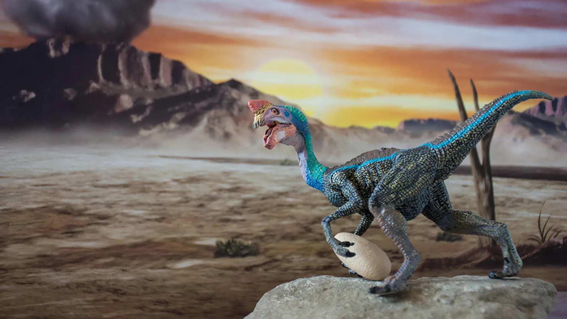 The Sun and the Brood: Decoding the Reproductive Mysteries of Oviraptors