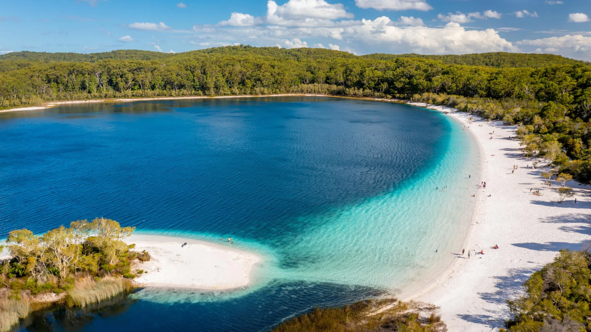 The Vanishing Eyes: New Research Reveals K’gari’s Lakes Are More Fragile Than They Seem
