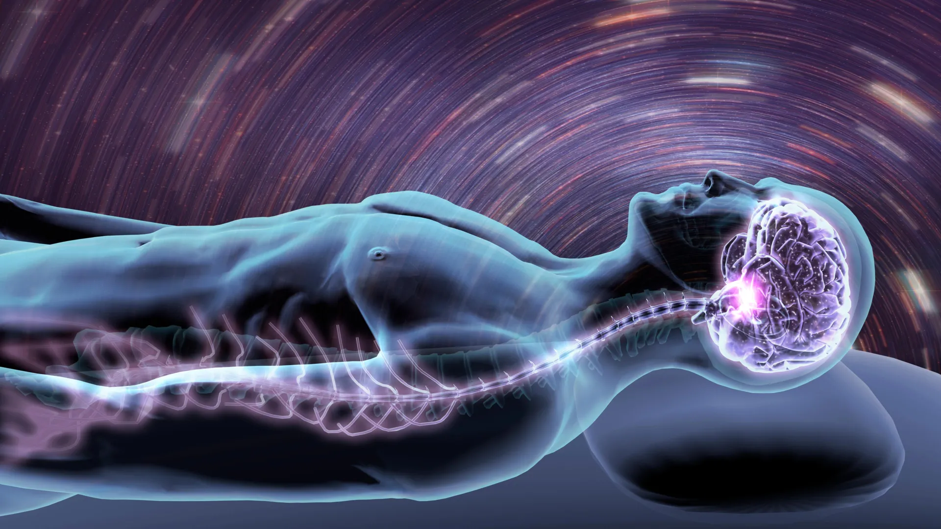 The "Whole House" Response: New Research Links Brain Immune Cells to Alzheimer’s-Related Sleep Loss