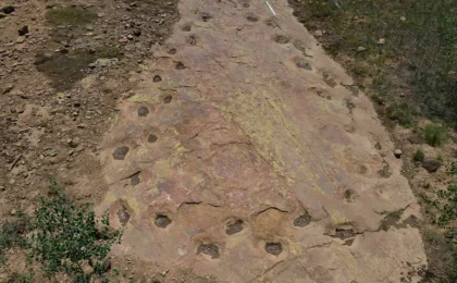 A Loop Through Time: How New Drone Technology is Decoding the Gait of a 150-Million-Year-Old Giant