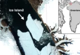 Arctic Sentinel: The Massive Calving of Petermann Glacier Signals a New Era of Polar Instability