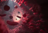 Beyond Fiber: New Research Uncovers How Plant-Based Diets Reshape Human Metabolic Health