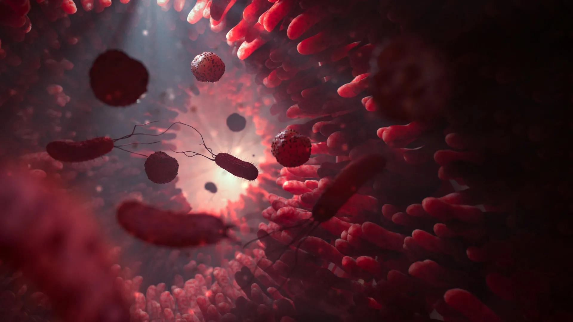 Beyond Fiber: New Research Uncovers How Plant-Based Diets Reshape Human Metabolic Health