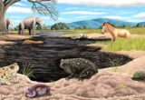 Beyond the Mammoths: A Tiny Toad Redefines Ice Age Los Angeles