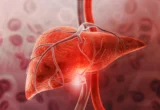 Beyond Weight Loss: McMaster Researchers Uncover the Liver-Protecting Power of GDF15
