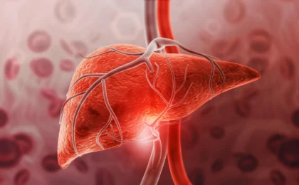 Beyond Weight Loss: McMaster Researchers Uncover the Liver-Protecting Power of GDF15