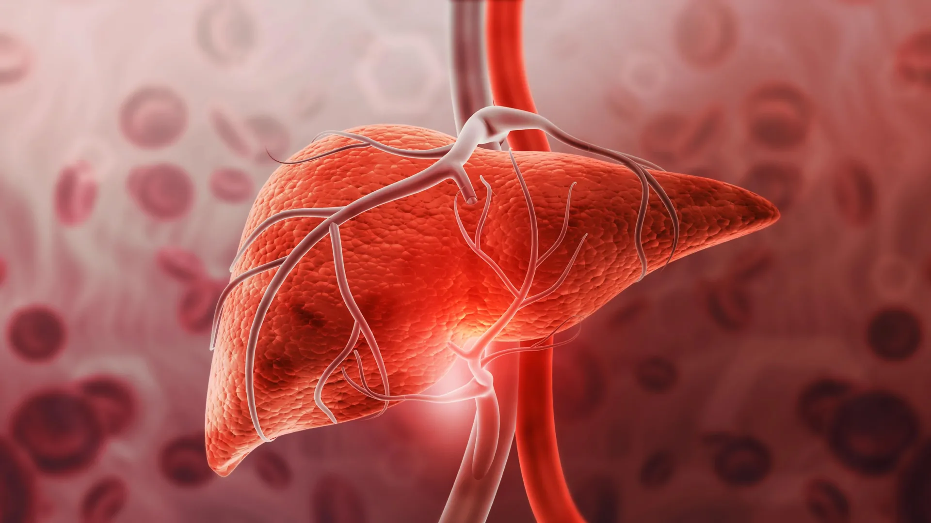 Beyond Weight Loss: McMaster Researchers Uncover the Liver-Protecting Power of GDF15