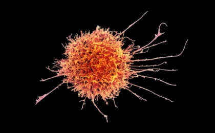 Breakthrough in Precision Oncology: Transforming Immune Cells to Conquer Solid Tumors