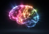 Clearer Skies, Sharper Minds: How Home Air Purification May Protect Cognitive Health