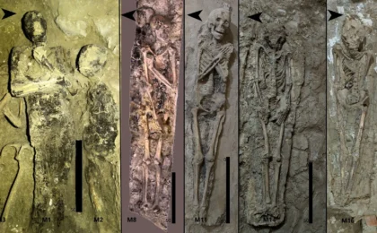 Echoes of the Afterlife: Decoding the Spatial Logic of Theban Tomb TT 209