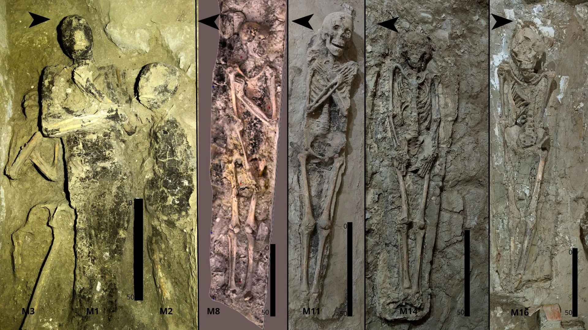 Echoes of the Afterlife: Decoding the Spatial Logic of Theban Tomb TT 209